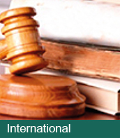 Netiure International